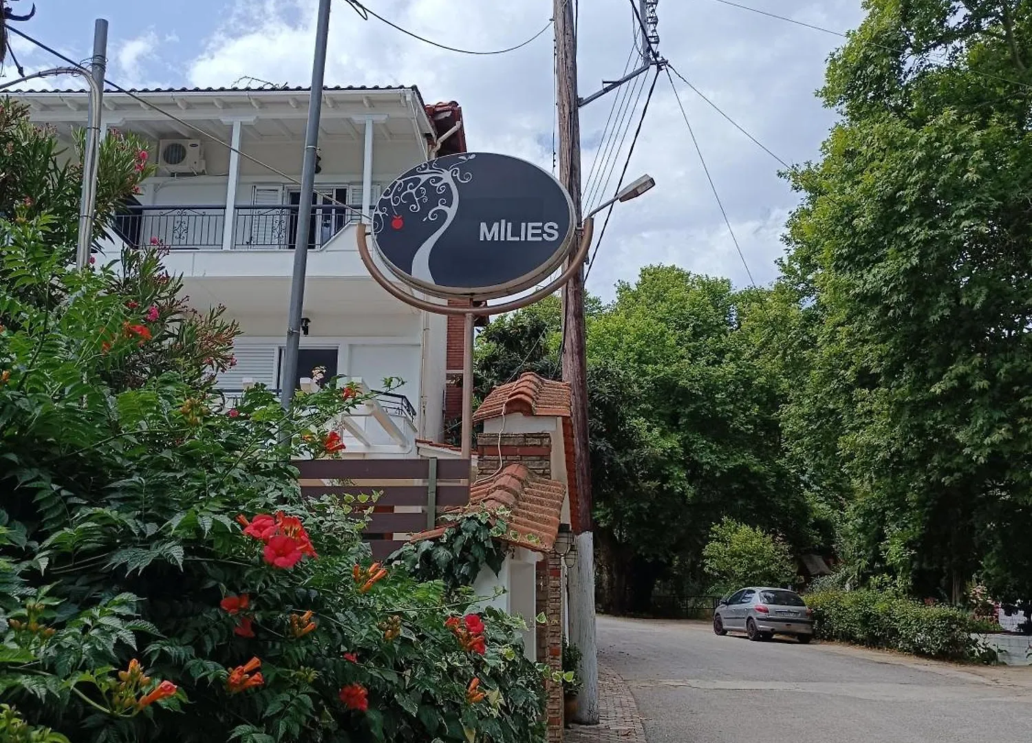 Hotel Milies Stavros
